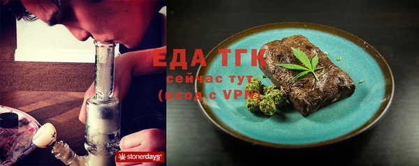 тгк Новозыбков
