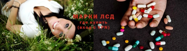 тгк Новозыбков