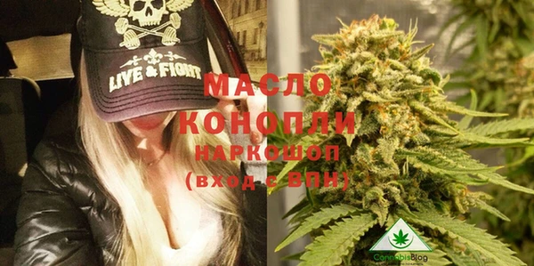 тгк Новозыбков