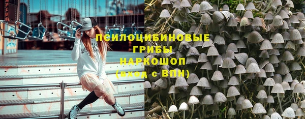 тгк Новозыбков