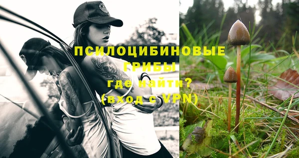 амф Новодвинск