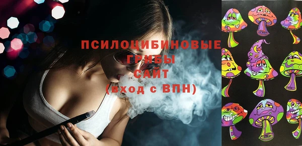 амф Новокубанск