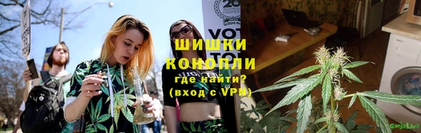 тгк Новозыбков